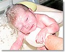 IMG_6569.jpg