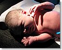 IMG_6596.jpg