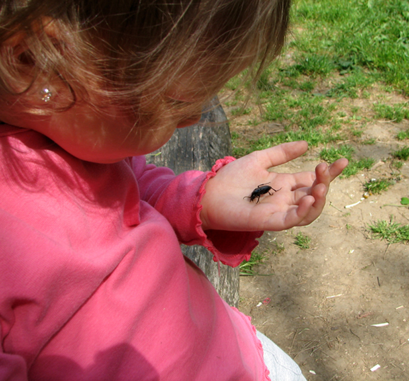 IMG_7276.JPG