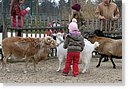 IMG_6734.JPG