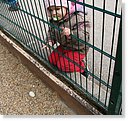 IMG_6747.JPG
