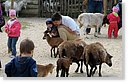 IMG_7312.JPG