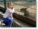 IMG_7396.JPG